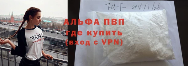 прущий лед Бородино