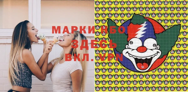прущий лед Бородино