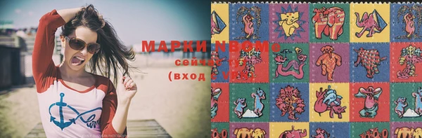 прущий лед Бородино