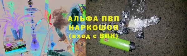 прущий лед Бородино